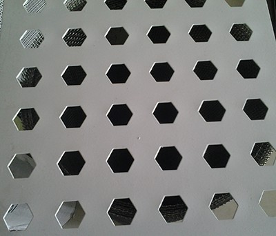 冲孔网 (3)
